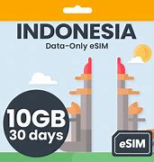 Triple Sim Order Esim Indonesia Adalah